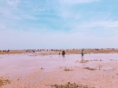 -刘家湾赶海园