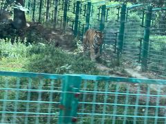 -西安秦岭野生动物园