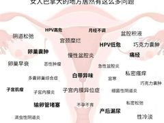 -中粮·祥云小镇