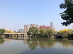 -顺峰山公园