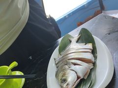 -小海豚•老字号海鲜餐厅(天涯店)