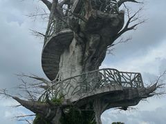-芒洲湿地公园