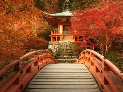 -醍醐寺