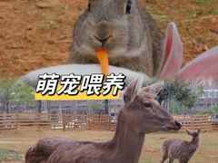 -栖露营camping·天幕烧烤·团建拓展·采摘营地