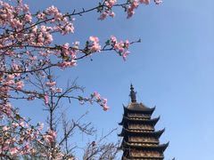 -常熟方塔园