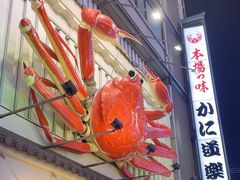 -蟹道乐(道顿堀本店)
