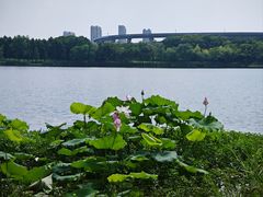 -石湖景区