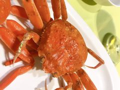 -高佳庄·舟山海鲜(海景旗舰店)