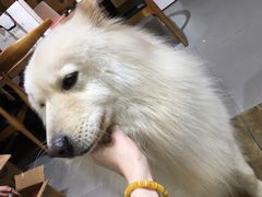 -肆兮眼镜·蔡司·徕卡战略合作店(大坪店)
