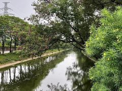 -顺峰山公园
