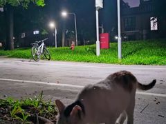 -广州中山纪念堂