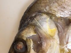 -水月周庄铂尔曼酒店-水月荟中餐厅