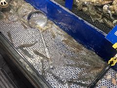 -深海壹品海鲜自助餐厅(吾悦广场店)