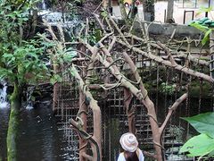 -昆明青龙峡风景区