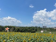 -光明小镇欢乐田园