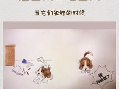 -瑞派天使宠物医院·神经外科·骨科·核磁(洛川中路店)