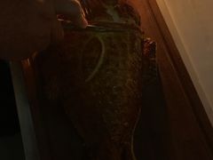 -Oyster Talks 四度蚝法餐厅