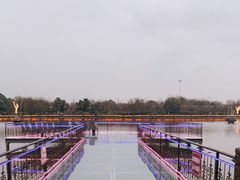 -马帮寨院坝火锅(龙港公园店)