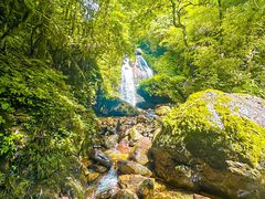 -瓦屋山景区