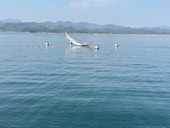 -千岛湖天屿景区