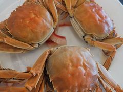 -东方红海鲜百汇(国际大厦店)