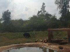 -海南热带野生动植物园