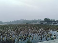 -阳澄湖半岛旅游度假区