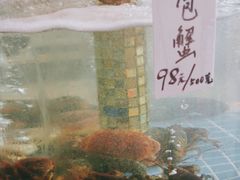 -荔城生鲜盛宴(番禺旗舰店)