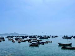 -海源公园