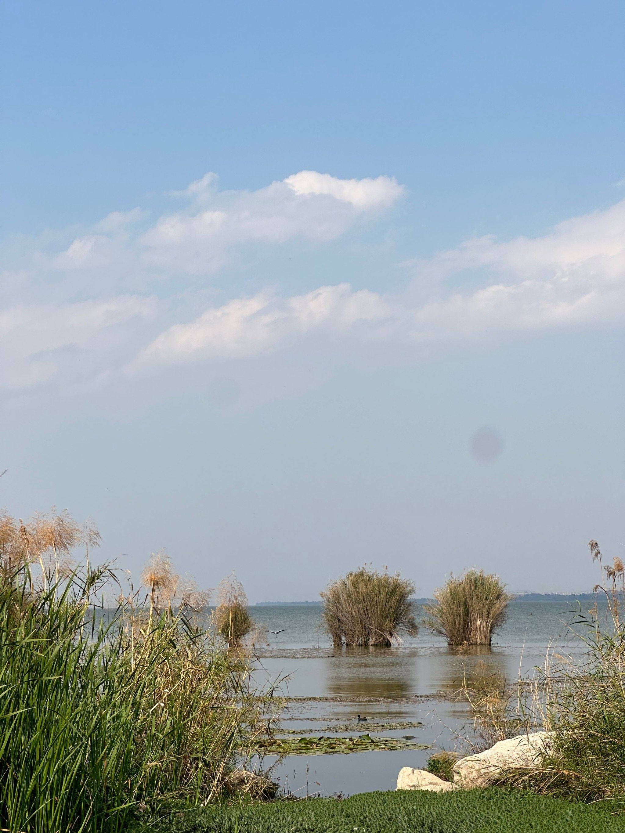 东大河湿地公园