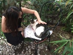 -海边的猫和咖啡馆