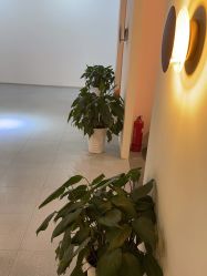 -Sunny喜铺婚礼定制·求婚策划