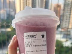 -一只酸奶牛(双流万达广场店)