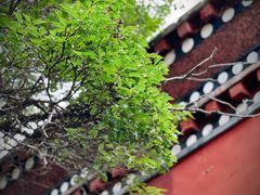 -塔尔寺