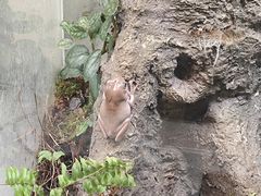 -中国湿地博物馆