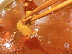 -冯记香辣兔火锅(茶店子总店)