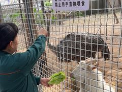 -厦门悦华酒店