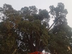 -四门塔风景区