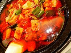 -陈麻婆豆腐总店