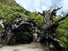 -龙湾潭国家森林公园
