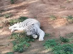 -昆明动物园