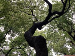 -宁波大学附属第一医院(外滩院区)