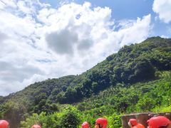 -龙颈河漂流
