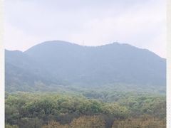 -紫金山山顶公园