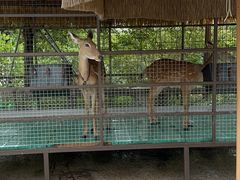 -珠海海泉湾神秘岛亲子乐园