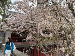 -潭柘寺景区