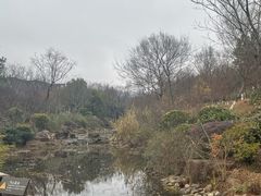 -茅山东方盐湖城景区