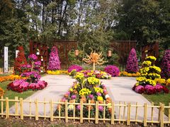 -上海共青森林公园