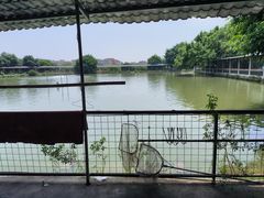 -伟记牛蹄(道滘店)