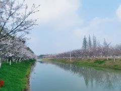 -上海海湾国家森林公园